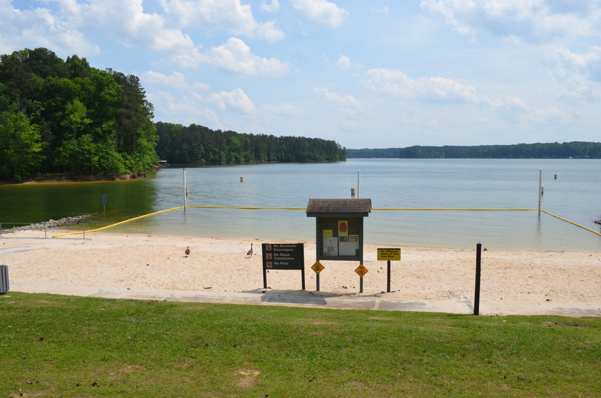 Parks and Day Use Areas at Lake Allatoona