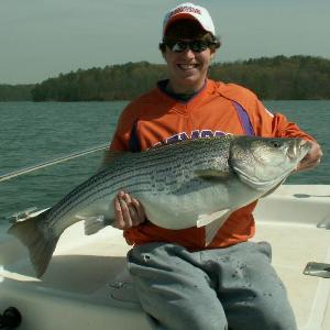 Keeping Shad Alive  Bass Fishing Forum